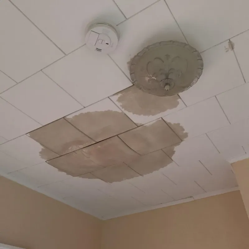Ceiling Water Damage Repair in Suffolk County, MA