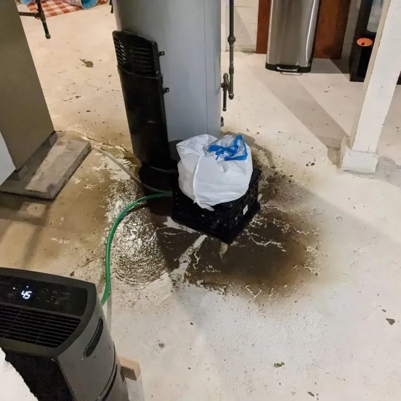 Sewage Backup Cleanup Service in Suffolk County, MA